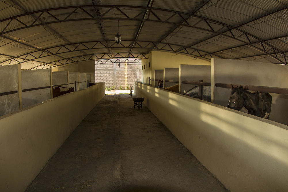 Teoticamp Hotel San Juan Teotihuacan Luaran gambar